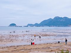 -北岐滩涂