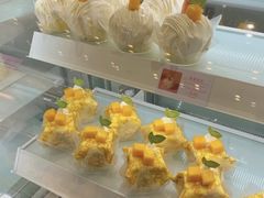 -蒲公英(五里店)