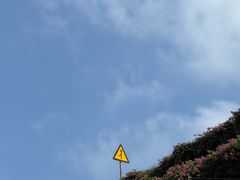 -黄金海岸水上乐园