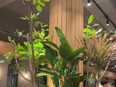-gaga(深圳京基KKMALL店)