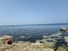 -养马岛旅游度假区