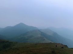 -大姆山草场