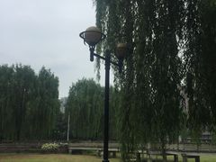 -温江公园