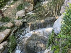 -大连植物园