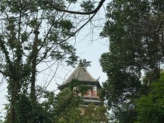 -上海辰山植物园