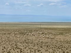 -青海湖国家重点风景名胜区