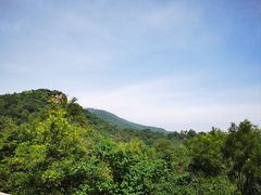 -北京西山国家森林公园