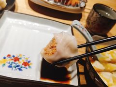 海胆饺子-胆食海胆水饺(总店)
