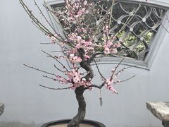 -无锡梅园公园