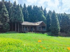 -武陵山森林公园