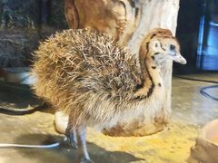 -北戴河圣蓝海洋公园