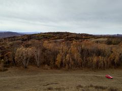 -塞罕坝国家级自然保护区