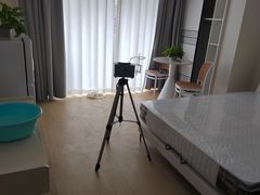 -绿色亿家除甲醛机构