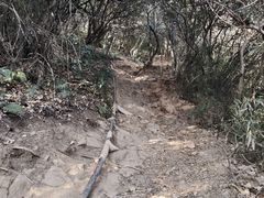 -杭州半山国家森林公园