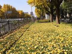 -钓鱼台国宾馆