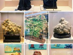 -安徽省地质博物馆