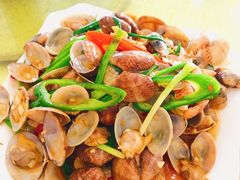 豉汁炒花甲-双月饭店·20年老字号(新村店)