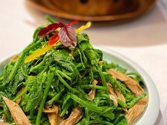 炝拌丝瓜尖-北平盛世·新京菜·北京烤鸭(劲松·双井店)