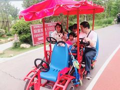 -上海长兴岛郊野公园