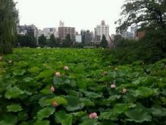 -上野公园花园稻荷神社(忍岡稲荷神社)