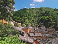 -杨家堂村