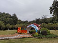 -野狸岛
