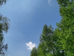 -长白岛森林公园