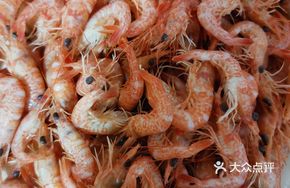 Wild Red Shrimp