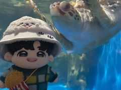 -欢乐海岸海洋奇梦馆