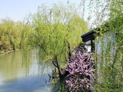 -同里国家湿地公园