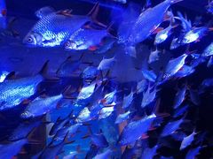 -成都浩海立方海洋公园