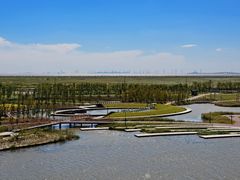 -春花秋色城市公园