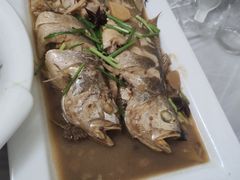 -宾朋海鲜特色美食餐厅·纯手工鲅鱼水饺(兴海路店)