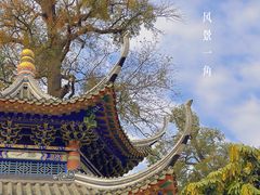 -南华禅寺