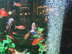 -雀蓝川菜(奥体广场店)