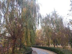-方庄体育公园