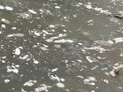 -赵州桥景区