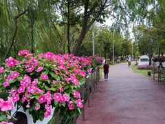 -上海浦江郊野公园-2号停车场