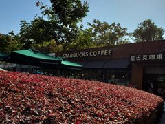 门面-星巴克(西藏路店)