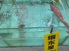 -寻味顺德·南记酒家·传统顺德菜·鱼生(广源路店)