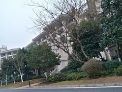 -重庆长寿碧桂园凤悦凤凰酒店