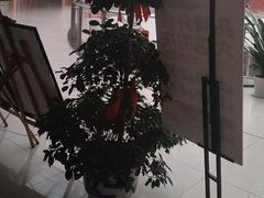 -偶屋里钵少爷(时代广场店)