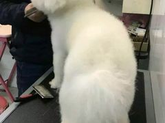 -喵汪宠物生活馆(涞坊路店)