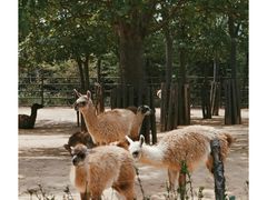 -济南野生动物世界