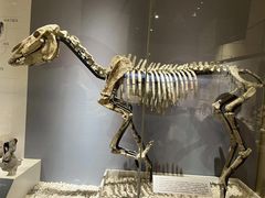 -国家自然博物馆