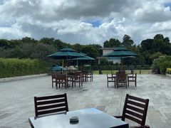 -厦门悦华酒店·绿庭主题自助餐厅