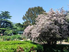 -香山公园