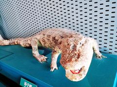 -中国湿地博物馆