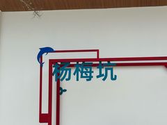 -杨梅坑
