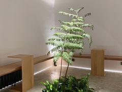 -光作面包Voila Lumiere(中山店)